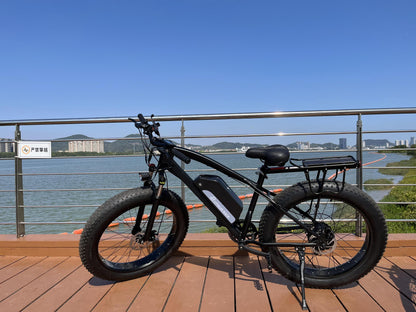 26inch 750W 48V13.2AH snow electric bicycle